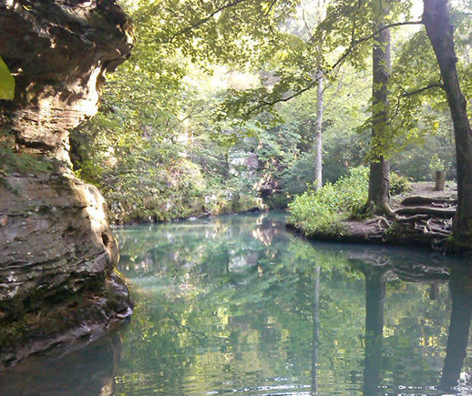 Bell Smith Springs